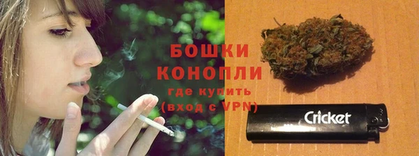 гидра Белокуриха