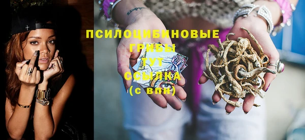 гидра Белокуриха