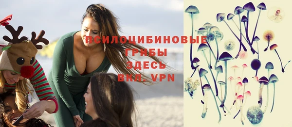 мяу мяу мука Беломорск