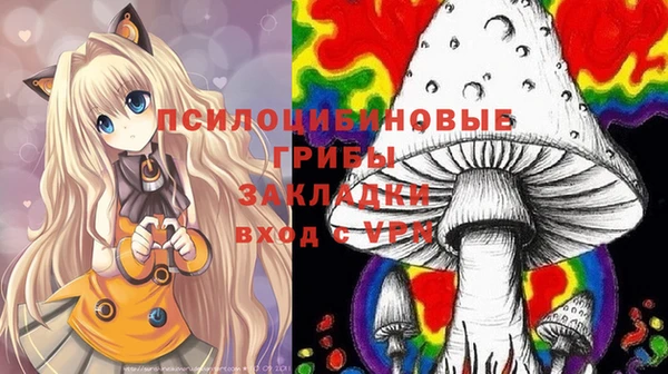 мяу мяу мука Беломорск