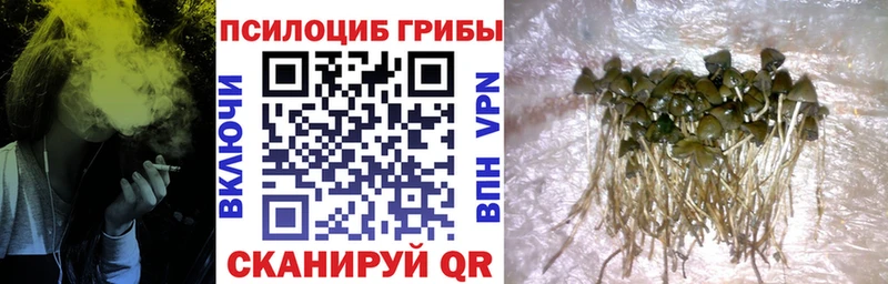 hydra зеркало  где можно купить наркотик  Бирюсинск  Галлюциногенные грибы прущие грибы 